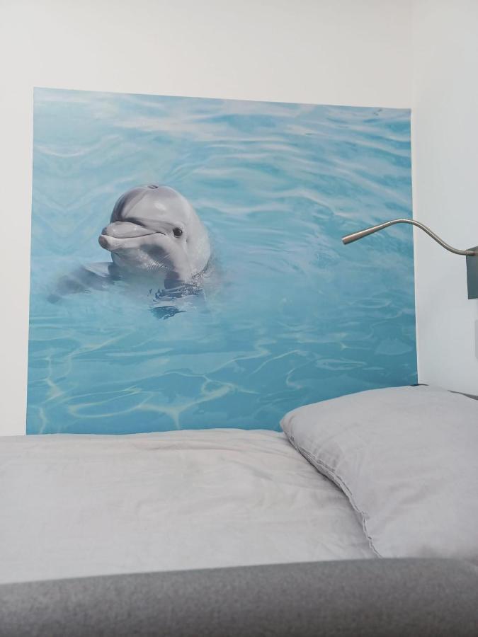 Voyage Hostel - Rooms With Shared Kitchen Douglas Εξωτερικό φωτογραφία